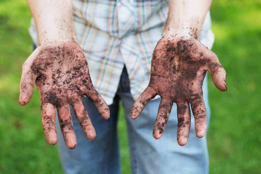 Orenda Home Garden_Outdoor Cleaning and Baking Soda in the Garden